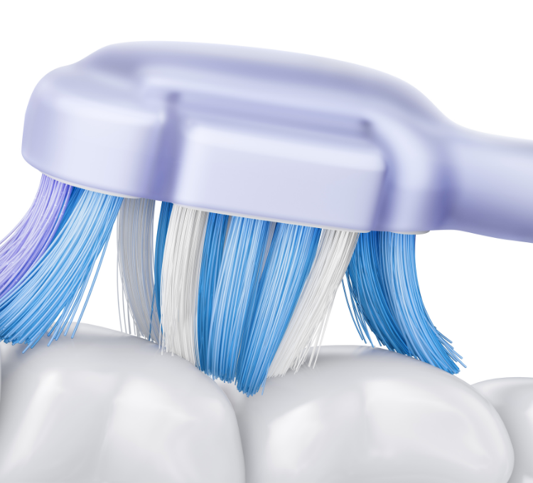 Las cerdas se adaptan al contorno de las superficies y los espacios dentales - 