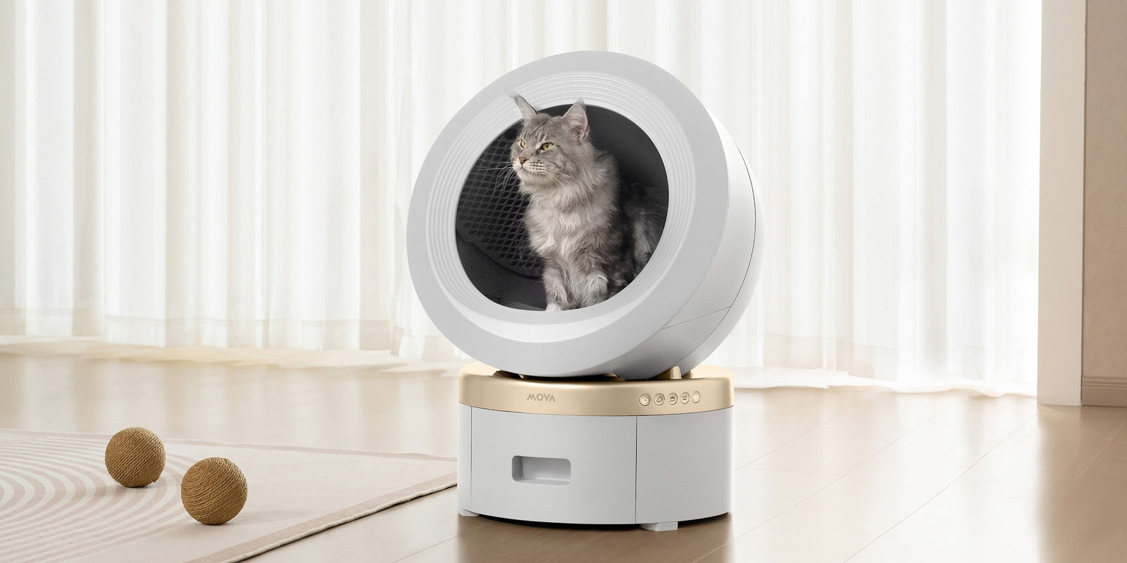Libertad y comodidad para tu gato - 